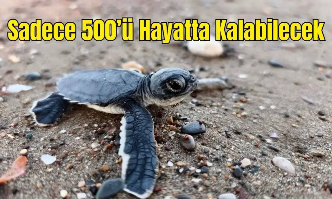 Antalya’da 30 Eylül Gündemi 9